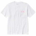 Camiseta KAWS x Uniqlo UT Short Sleeve Graphic