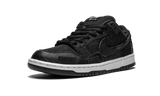 Nike SB Dunk Low Wasted Youth