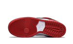 Nike SB Dunk Low J-Pack Chicago