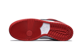 Nike SB Dunk Low J-Pack Chicago