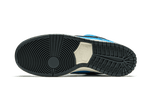 Nike SB Dunk Low Instant Skateboards