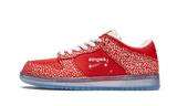 Nike Dunk SB Low Stingwater Magic Mushroom