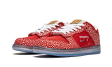 Nike Dunk SB Low Stingwater Magic Mushroom