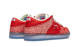 Nike Dunk SB Low Stingwater Magic Mushroom