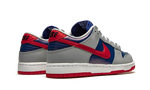 Nike Dunk Low Co.JP Samba (2020)