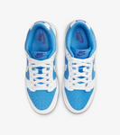Nike Dunk Low Reverse UNC (W)